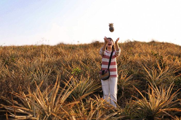 Khám phá vẻ đẹp lịch sử của Tam Điệp Ninh Bình qua những điểm đến đặc sắc 9