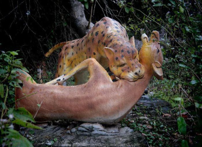 Đánh giá hành trình du lịch Phan Thiết tại công viên bỏ hoang hơn 10 năm 6
