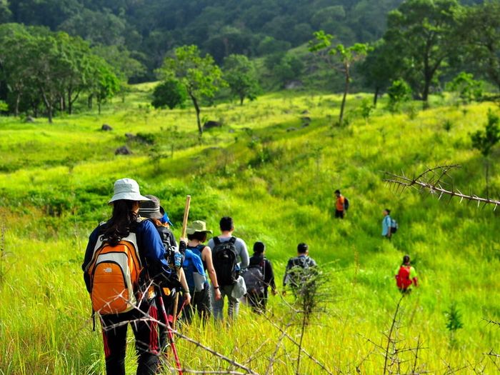 Chia sẻ kinh nghiệm trekking Núi Chúa dành cho những người đam mê khám phá thiên nhiên
