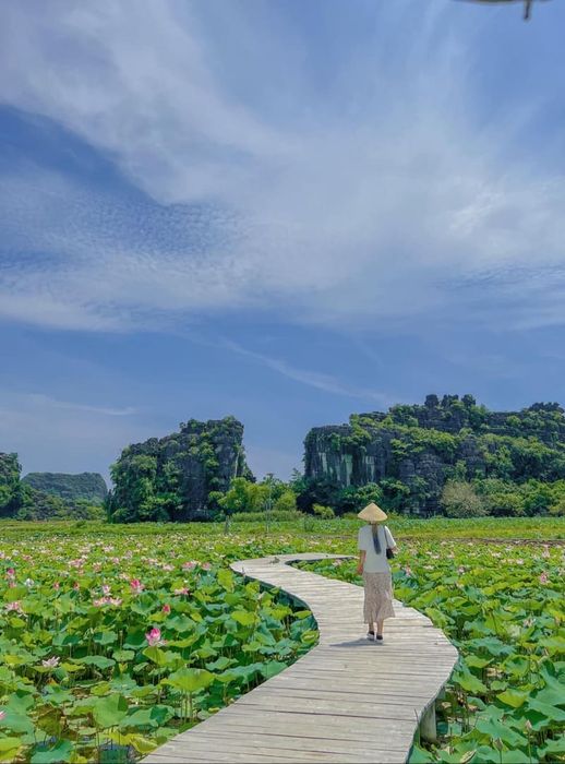 Đầm sen Hang Múa, nơi thăng hoa với vẻ đẹp thơ mộng tại Ninh Bình, khiến lòng người xiết bao và thả lỏng dưới bầu trời xanh biếc.