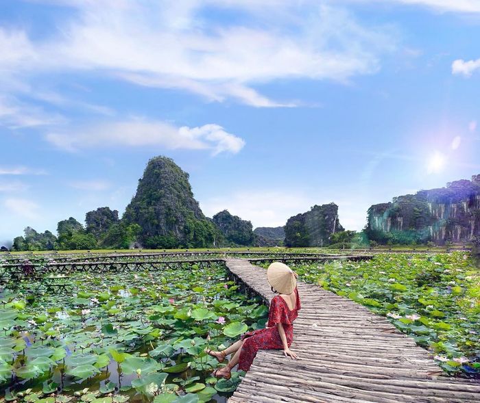 Say mê trước vẻ đẹp rực rỡ của mùa sen Ninh Bình 8