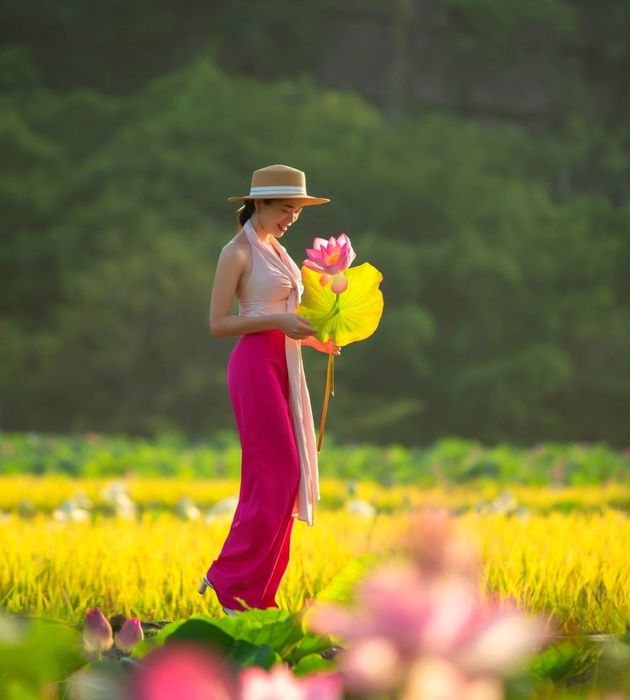 Ninh Bình trong mùa sen vẫn đẹp ngây ngất như một bức tranh tuyệt vời, đầy những nét đặc sắc