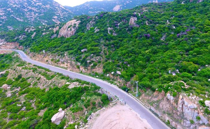 Bãi Hỏm (Bãi Rùa) - một viên ngọc quý hiếm của vùng biển Ninh Thuận