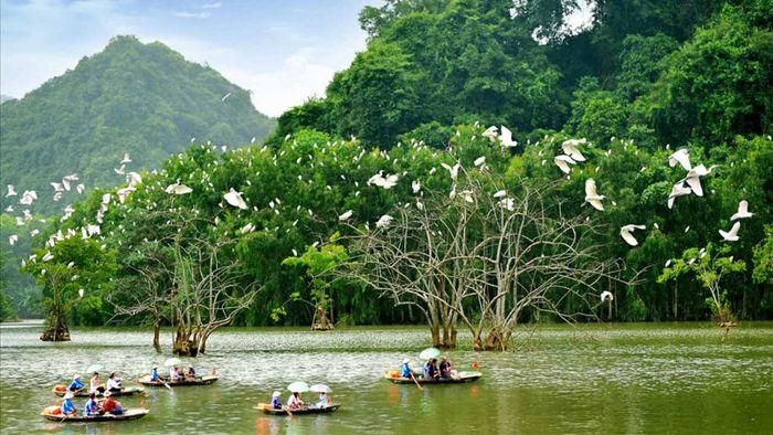 Lưu ngay trọn bộ kinh nghiệm du lịch Ninh Bình một mình 4