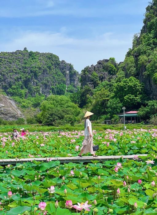 Bên cạnh vẻ đẹp thơ mộng tại Ninh Bình, Đầm sen Hang Múa mang đến một trải nghiệm đầy ấn tượng giữa không gian xanh ngắt của vùng đất này.