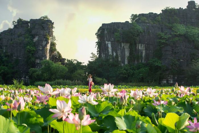 Ninh Bình trong mùa sen vẫn đẹp ngây ngất như một bức tranh tuyệt vời, đầy những nét đặc sắc