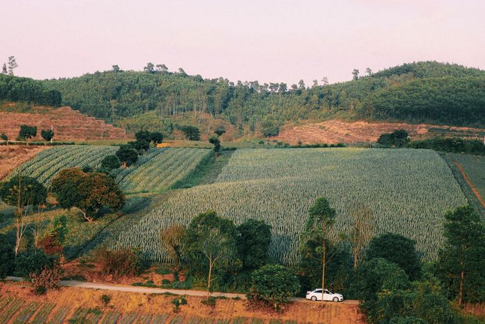 Khám phá vẻ đẹp lịch sử của Tam Điệp Ninh Bình qua những điểm đến đặc sắc 7