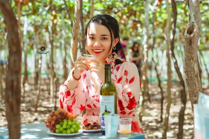 Cung đường biển 702 Phan Rang - Bình Tiên: Hành trình tới vẻ đẹp tự nhiên