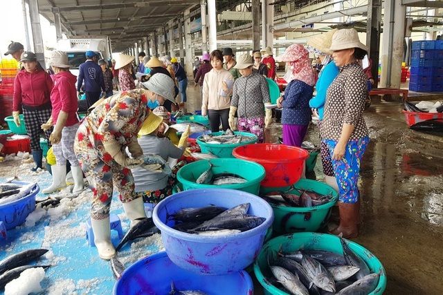 Khám phá danh sách các địa điểm bán hải sản Nha Trang giá rẻ, tươi ngon 3