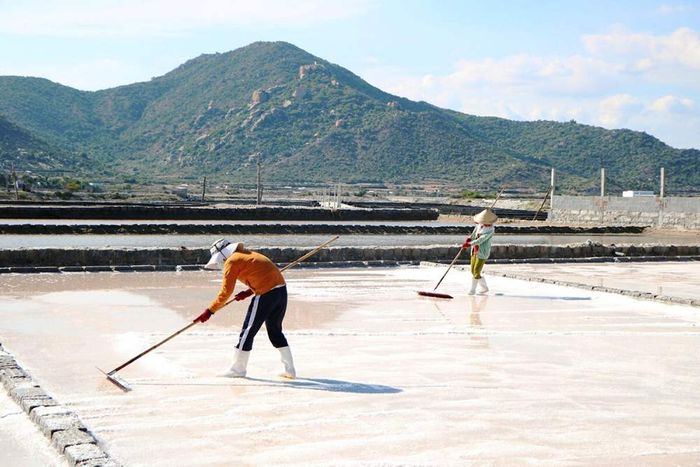 Gợi ý lịch trình 1 ngày ở Ninh Thuận chi tiết nhất 4