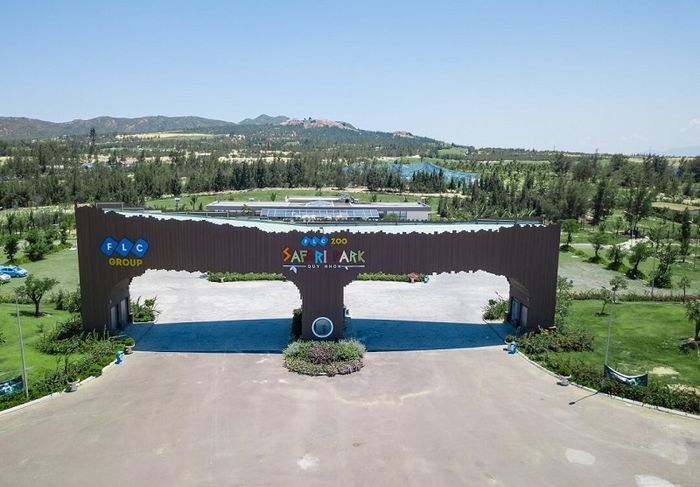 Safari Quy Nhơn, điểm đến sở thú ngoài trời hấp dẫn với hàng ngàn loài động vật dễ thương