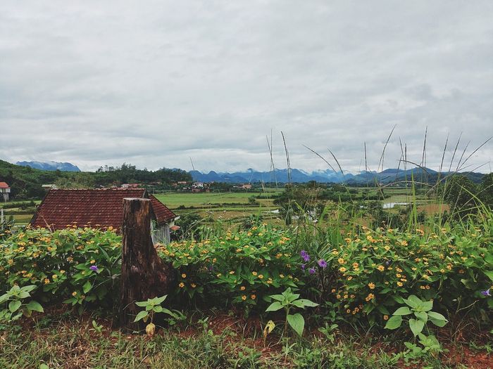 East Hill Phong Nha Quảng Bình, nơi chỉ có bạn và thiên nhiên yên bình 18