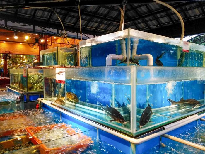Nhà hàng Seafood Garden Canary Phú Yên – Điểm đến hải sản chất lượng của Phú Yên 6
