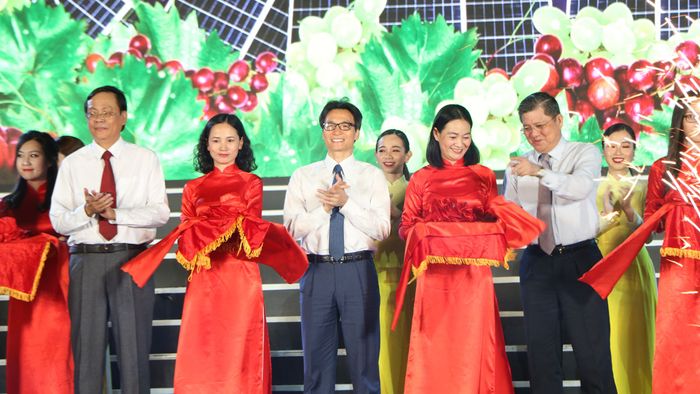 Khám phá lễ hội nho và rượu vang Ninh Thuận phồn thịnh, huyền diệu 2