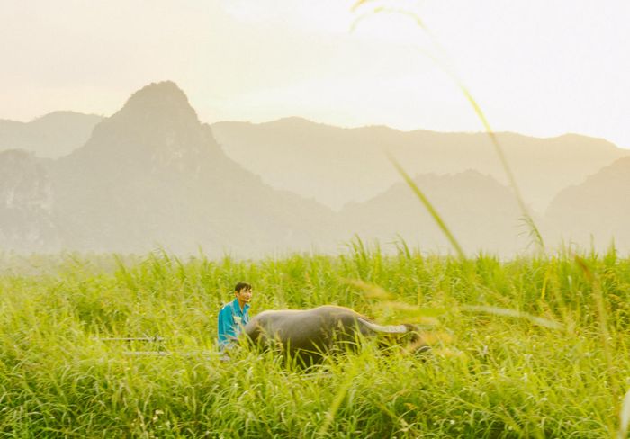 Khám phá làng quê Quảng Bình dịu dàng mùa cỏ lau lần thứ sáu