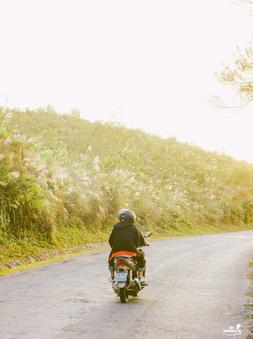 Một Đà Lạt mới ở Quảng Bình vừa được tiết lộ, bạn đã nghe chưa?