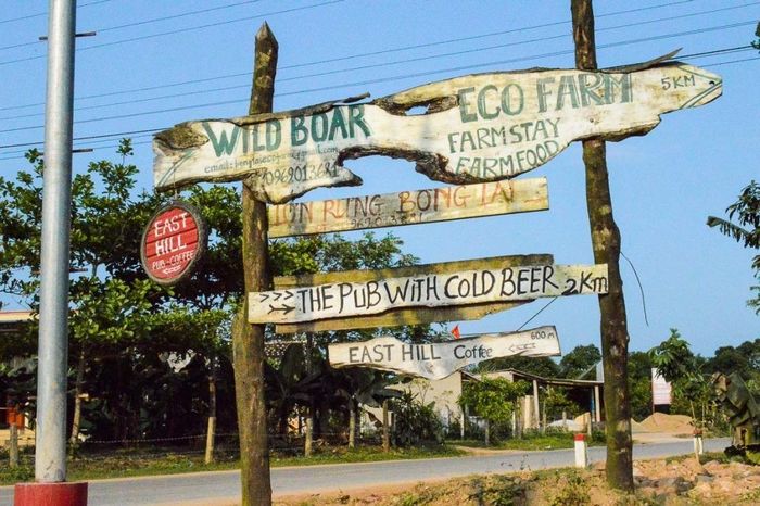 Khám phá Nông trại Sinh thái Wild Boar ở Quảng Bình và vẻ đẹp như thiên đường 3