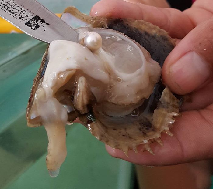 Tham quan xưởng trồng và chế tác ngọc trai Phú Quốc 7