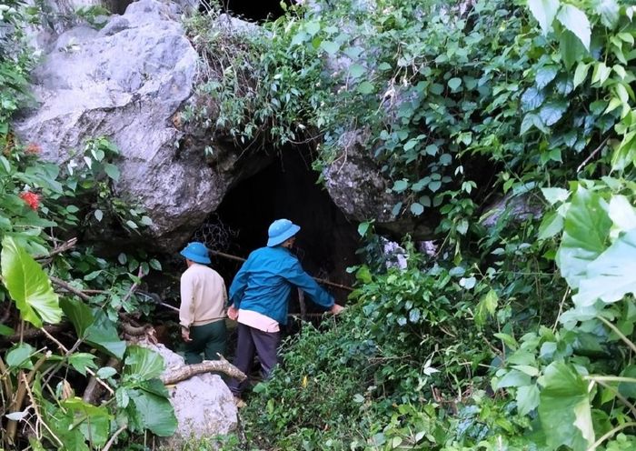 Minh Cầm Quảng Bình vẫn tiếp tục làm cho nhiều người say mê với vẻ đẹp đặc biệt của nó.