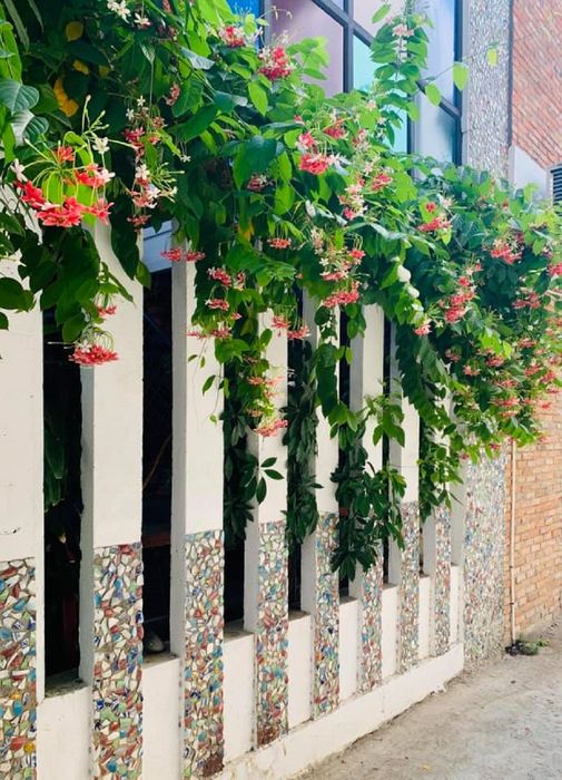 My My Coffee - Điểm đến của những thức uống healthy hấp dẫn 10