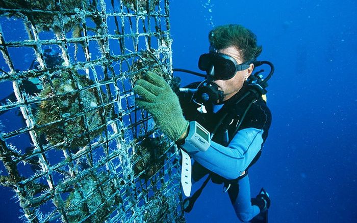 Tham quan xưởng trồng và chế tác ngọc trai Phú Quốc 5