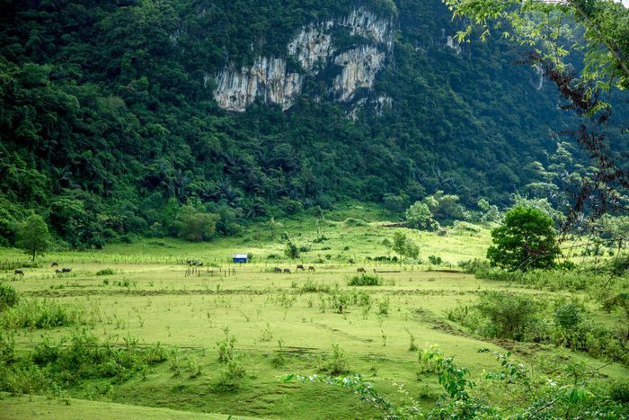 Cắm trại ngắm phong cảnh tuyệt đẹp bên Hồ Yên Phú 3