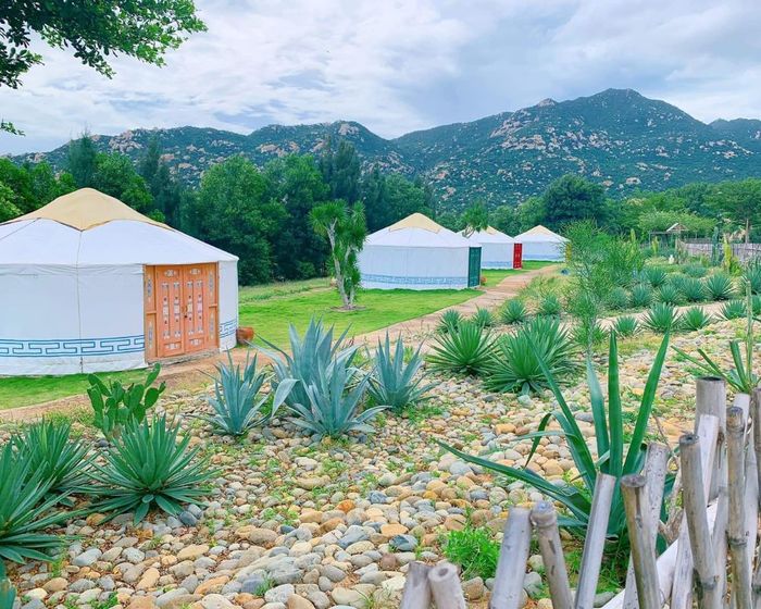 Gợi ý Lịch trình du lịch Ninh Thuận 3N2Đ dành cho người chưa từng khám phá