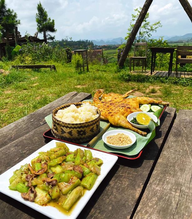 East Hill Phong Nha Quảng Bình, nơi chỉ có bạn và thiên nhiên yên bình 9