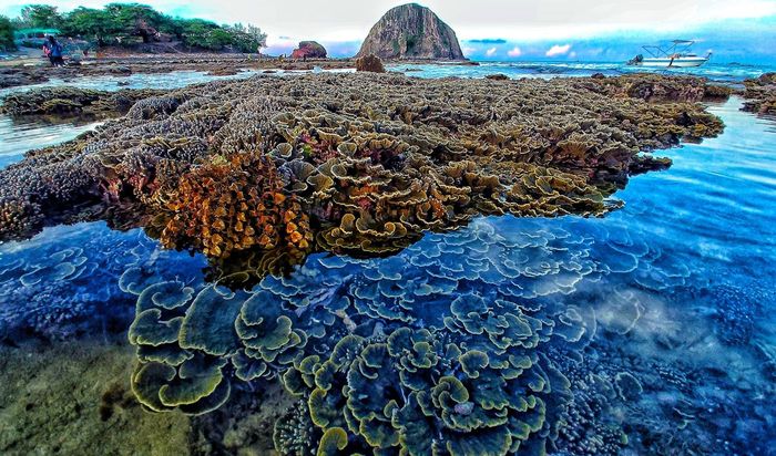 Hòn Yến Phú Yên - Nơi mang đến vẻ đẹp thanh bình và thơ mộng