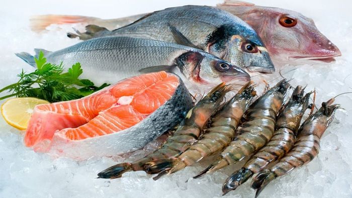 Túi trữ lịch trình lặn biển ngắm san hô Phú Yên tự túc từ A đến Z 5