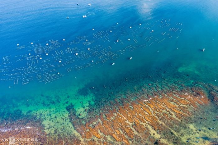 Hòn Yến Phú Yên - Nơi mang đến nét đẹp thanh bình và thơ mộng