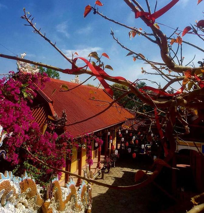 Chùa Ông Núi, điểm linh thiêng với tượng Phật 'tựa sơn vọng hải' 10