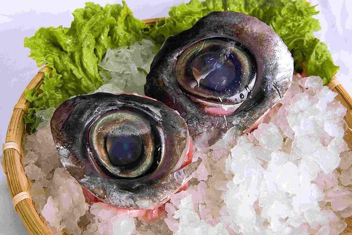 Mắt cá ngừ đại dương - Món quà giàu dinh dưỡng từ biển cả của vùng đất Phú Yên 4