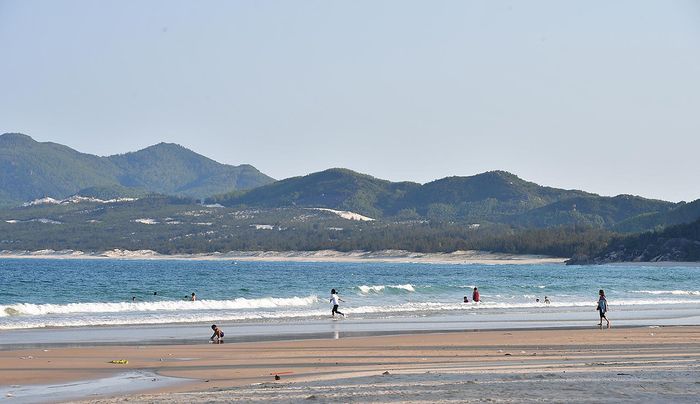 Thán phục trước vẻ đẹp hoang sơ của bãi biển Vịnh Hoà Phú Yên 5