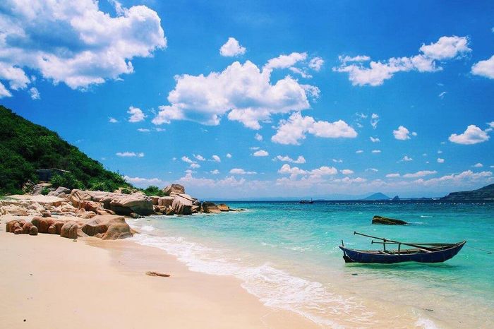 Chia sẻ kinh nghiệm du lịch Phú Yên và khám phá vẻ đẹp hoa vàng trên cỏ xanh 3