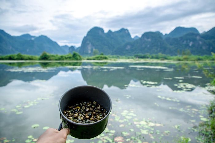 Lều trại bên Hồ Yên Phú ngắm bức tranh sơn thủy hữu tình 15