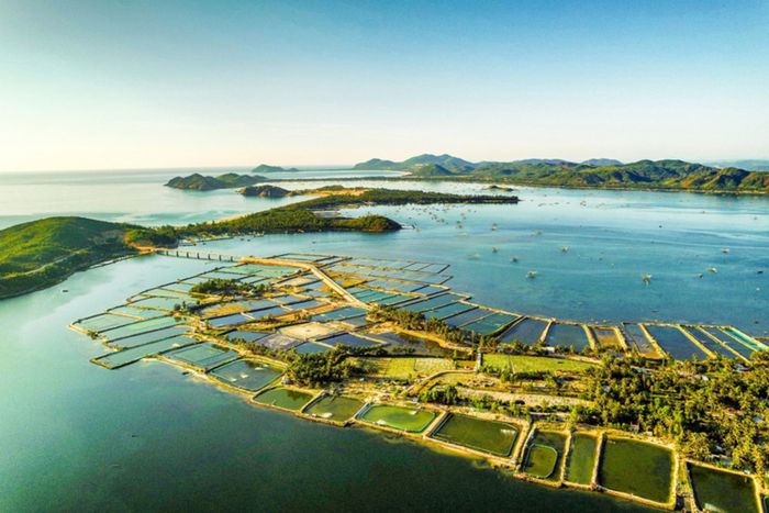 Kế hoạch khám phá Phú Yên chi tiết trong 1 ngày từ A đến Z (Phần 8)
