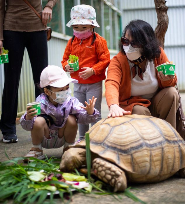 Một ngày khám phá Zoodoo Phan Rang, vườn thú độc đáo ở Ninh Thuận