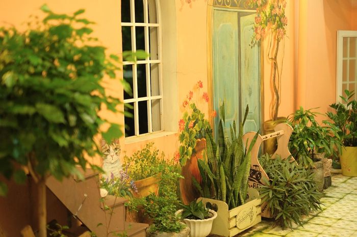 Craft Coffee House Quảng Bình nổi bật với kiến trúc ma mị, huyền bí 18