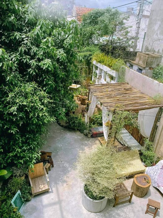 Theo dấu chân của Cường Quốc Phạm khám phá Chút nắng, chút gió, chút cỏ hương mây 7