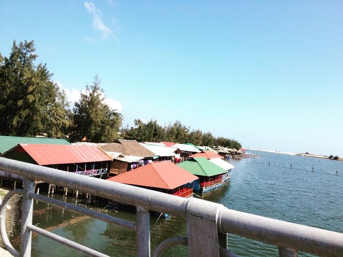 Niềm đam mê không ngừng với những món ăn ngon từ hải sản Đầm Ô Loan Phú Yên 2