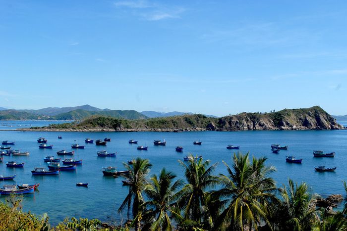 Khám phá cuộc sống của dân chài tại Gành Đỏ Phú Yên, cảm nhận vẻ đẹp của biển xứ Nẫu 5