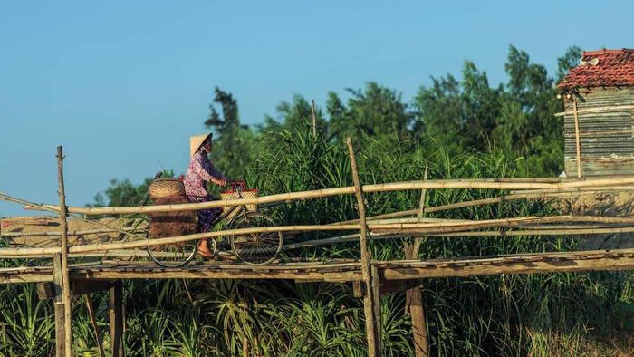 Trải nghiệm sự yên bình tại Cầu Gỗ Ông Cọp ở Phú Yên 2