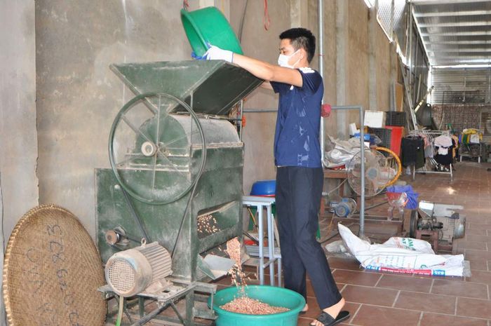 Mang về Dầu hạt lác từ Phong Nha làm quà, đảm bảo an toàn cho sức khỏe 3
