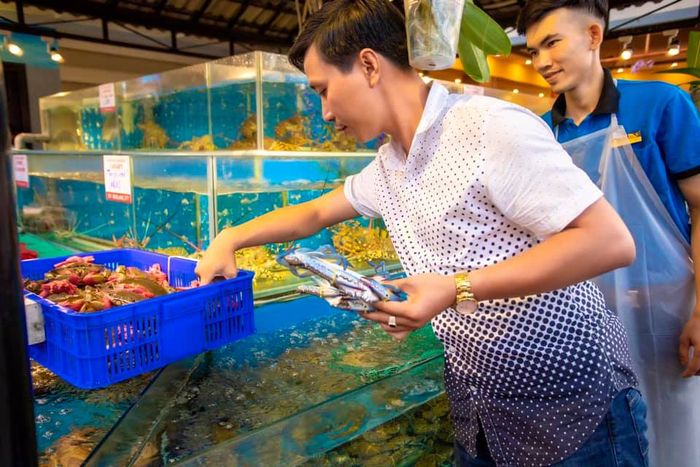 Nhà hàng Seafood Garden Canary Phú Yên – Thế giới hải sản chất lượng của xứ Nẫu 7