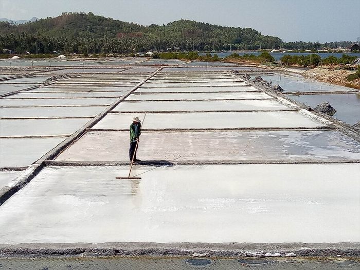Nghề làm muối Tuyết Diêm: bức tranh lao động êm đềm giữa bầu trời Phú Yên 3
