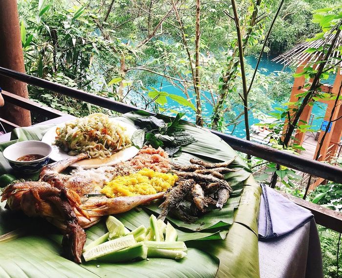 Tất cả những trải nghiệm zipline tại Sông Chày Hang Tối Quảng Bình 6