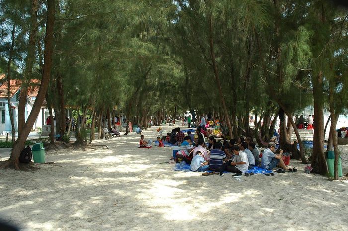 Thán phục trước vẻ đẹp hoang sơ của bãi biển Vịnh Hoà Phú Yên 7