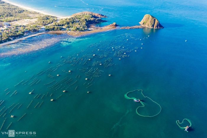 Hòn Yến Phú Yên - Nơi ẩn chứa nét đẹp thanh bình và thơ mộng 5