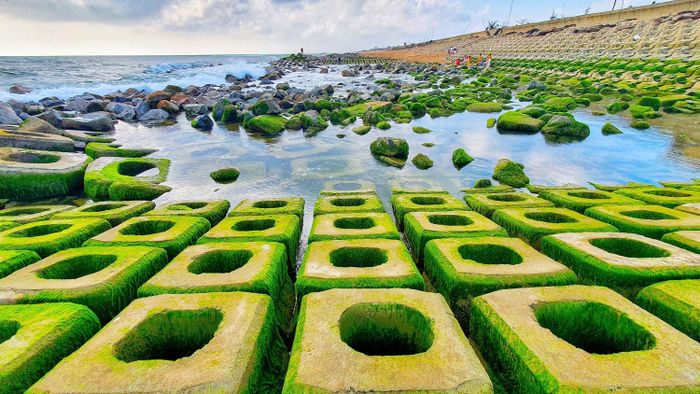 Xóm Rớ - Điểm du lịch rêu xanh độc đáo tại Phú Yên